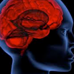 Is Memory Your Enemy?