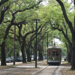 My Favorite NOLA Freebies